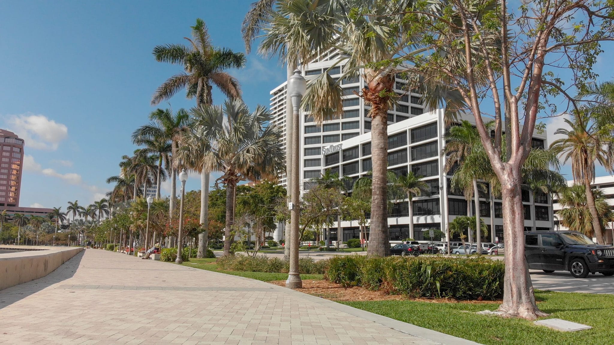 A palm-lined waterfront promenade in downtown West Palm Beach