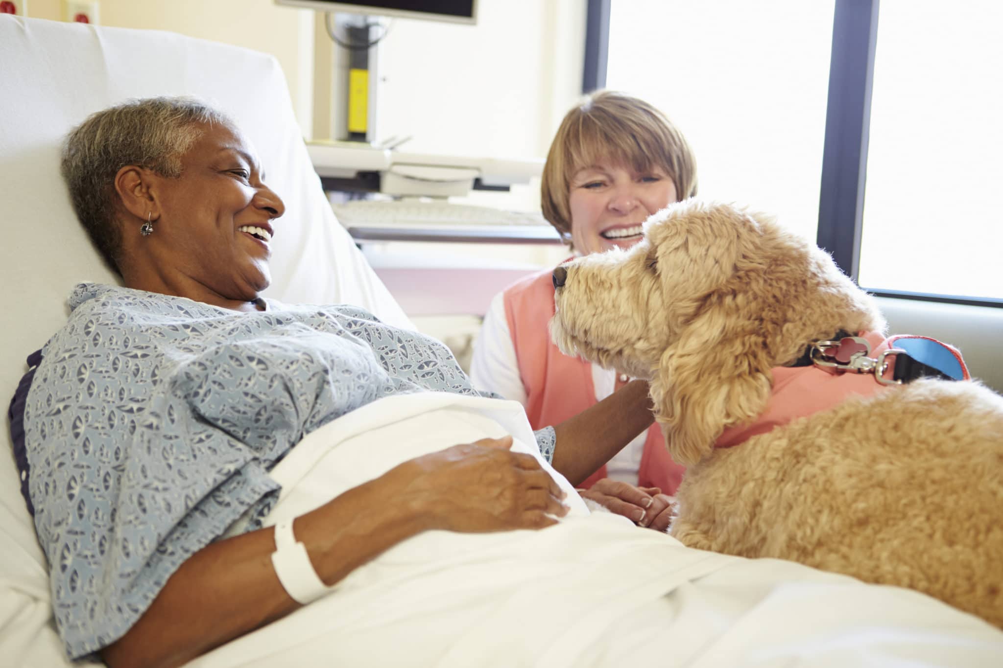 A patient smiling in her hospital bed as a therapy dog leans in to greet her, its handler beside the bed