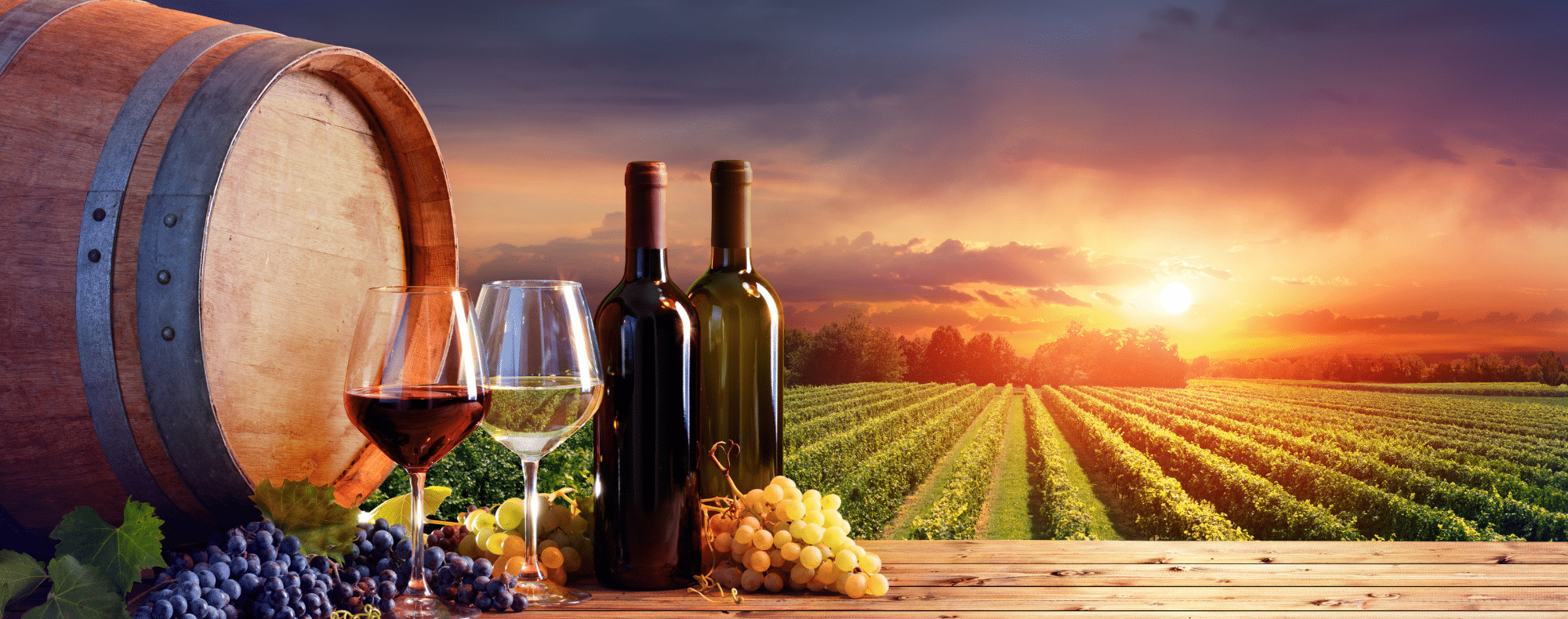 Wine glass